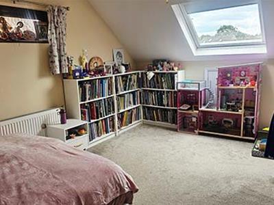 Picture 13